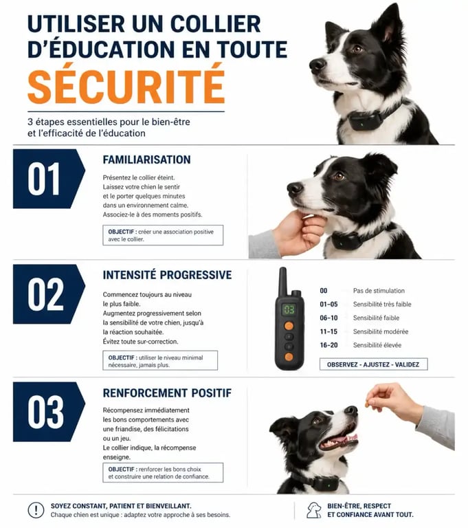 Guide visuel des précautions d'utilisation d'un collier éducation chien