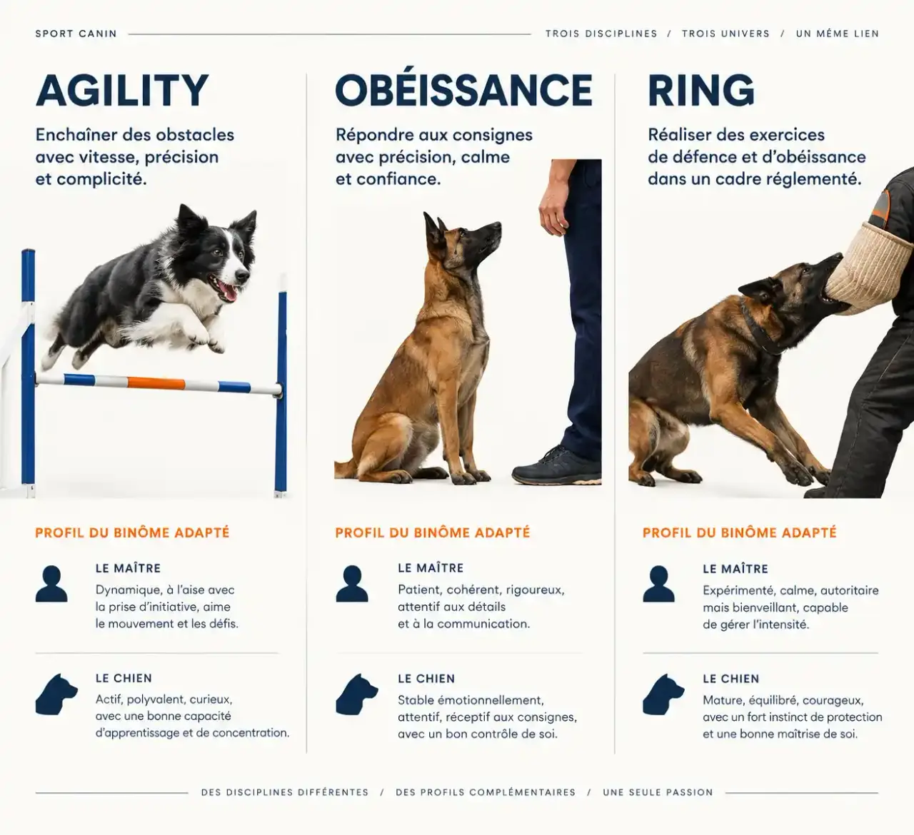 Comparatif des disciplines du club canin de Neuilly-sur-Marne : agility, obéissance et ring