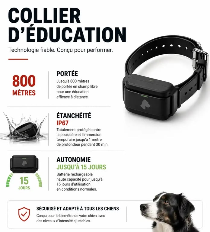 Infographie des caractéristiques techniques d'un collier éducation chien